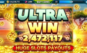 shwe666 Live Casino နှင့် Sportsbook ပလက်ဖောင်း